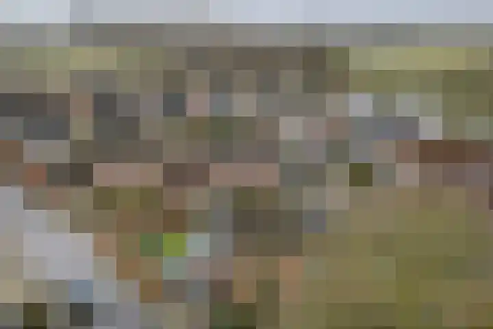 Vijverhof 25 Olst thumbnail 40