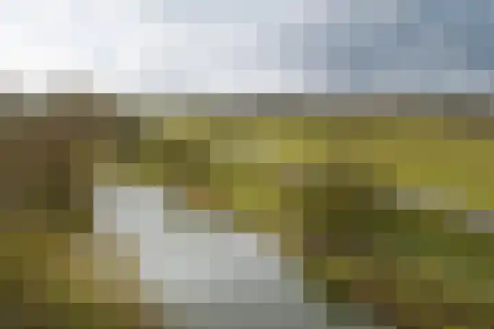 Vijverhof 25 Olst thumbnail 41