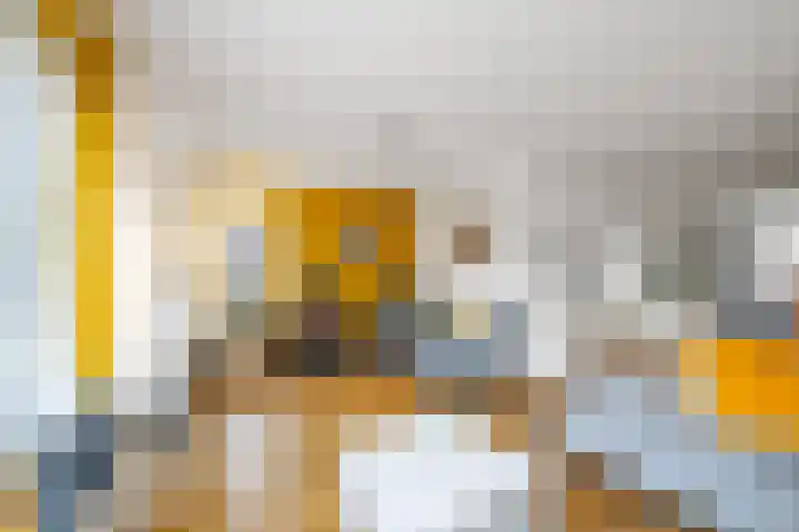 Vijverhof 25 Olst thumbnail 5