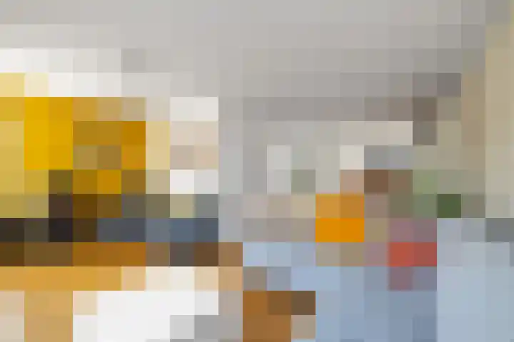 Vijverhof 25 Olst thumbnail 6