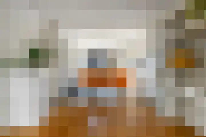 Vijverhof 25 Olst thumbnail 8