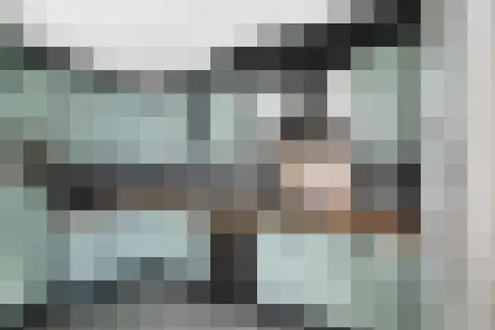 Vijverhof 25 Olst thumbnail 9