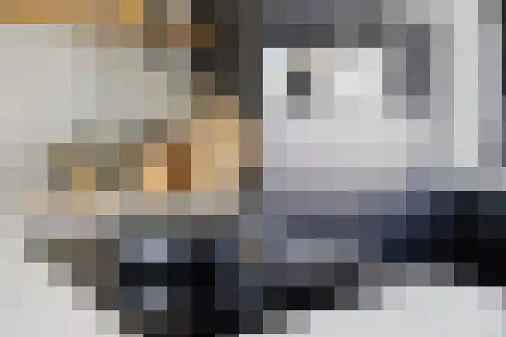 Vijverhof 26 Druten thumbnail 12