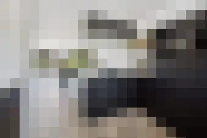 Vijverhof 26 Druten thumbnail 13