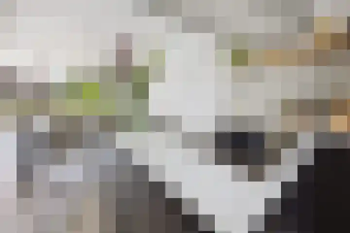 Vijverhof 26 Druten thumbnail 14