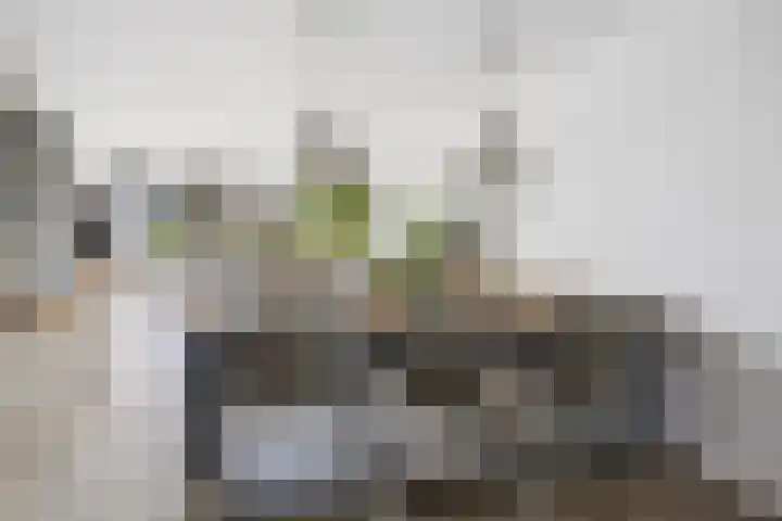 Vijverhof 26 Druten thumbnail 17
