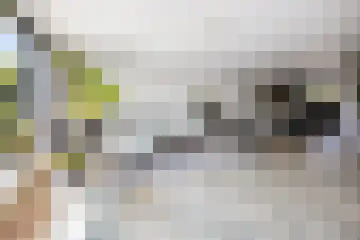 Vijverhof 26 Druten thumbnail 19