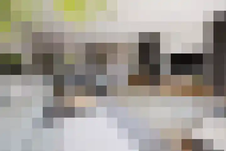 Vijverhof 26 Druten thumbnail 20