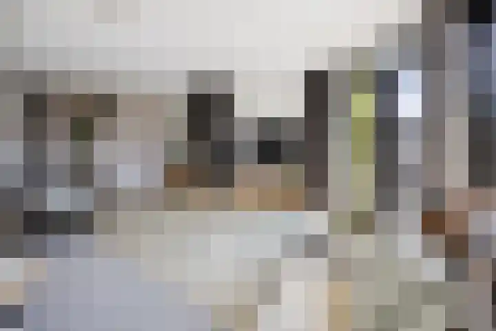 Vijverhof 26 Druten thumbnail 22