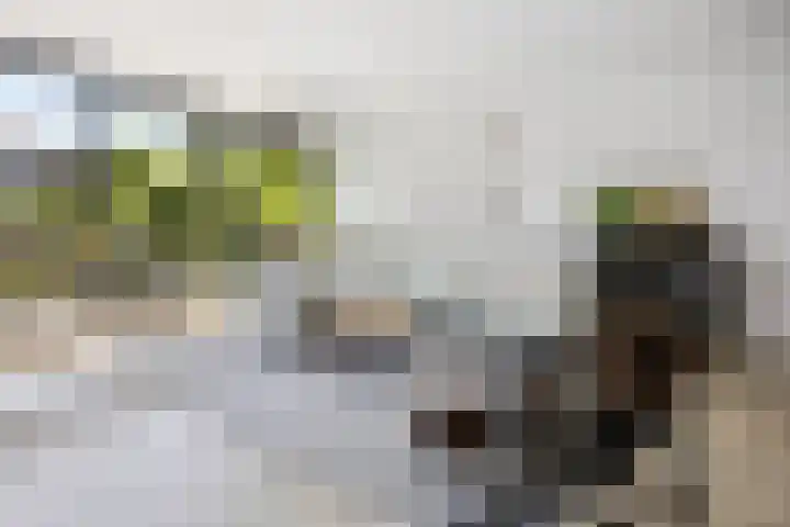 Vijverhof 26 Druten thumbnail 23