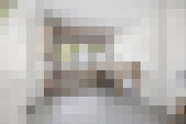 Vijverhof 26 Druten thumbnail 27