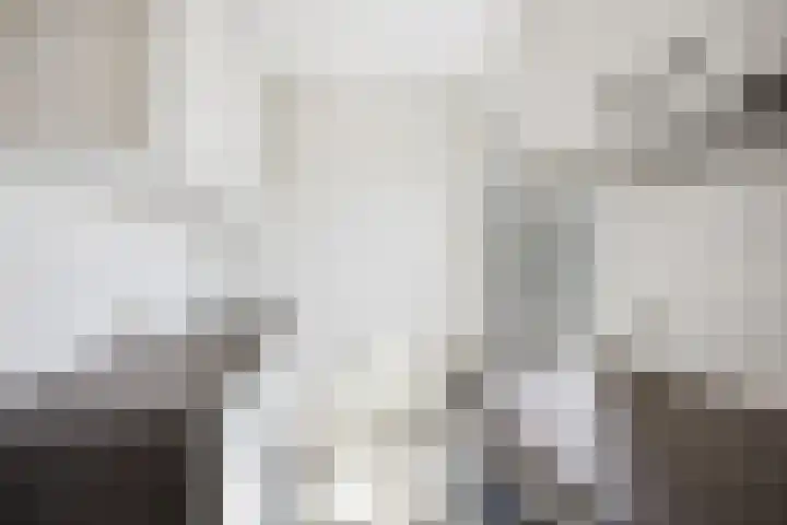 Vijverhof 26 Druten thumbnail 32
