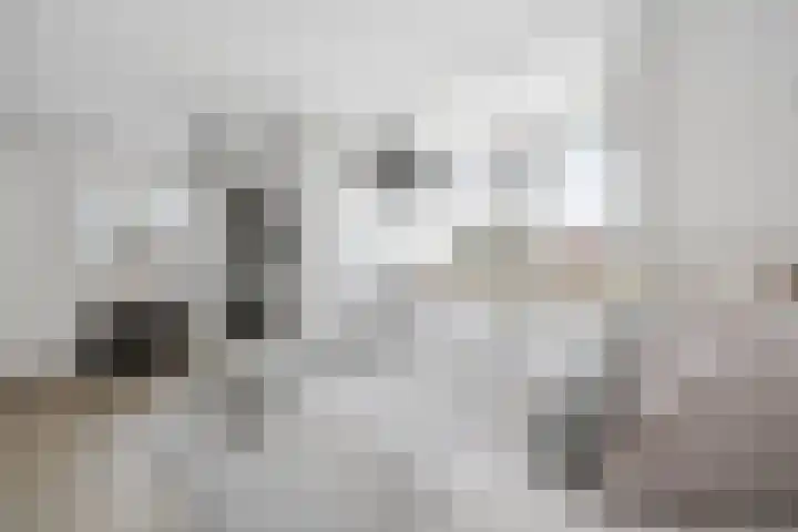 Vijverhof 26 Druten thumbnail 37