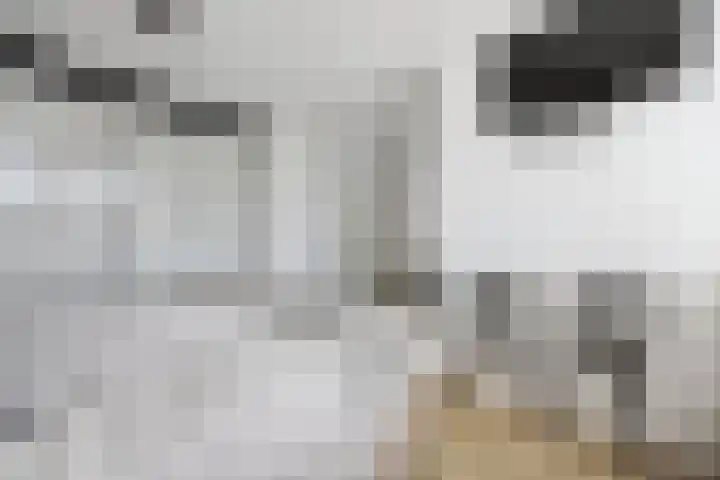 Vijverhof 26 Druten thumbnail 38