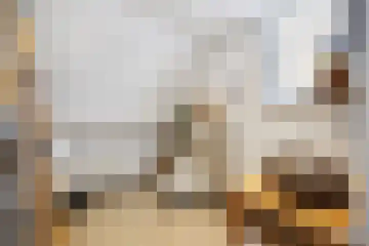 Vijverhof 26 Druten thumbnail 43