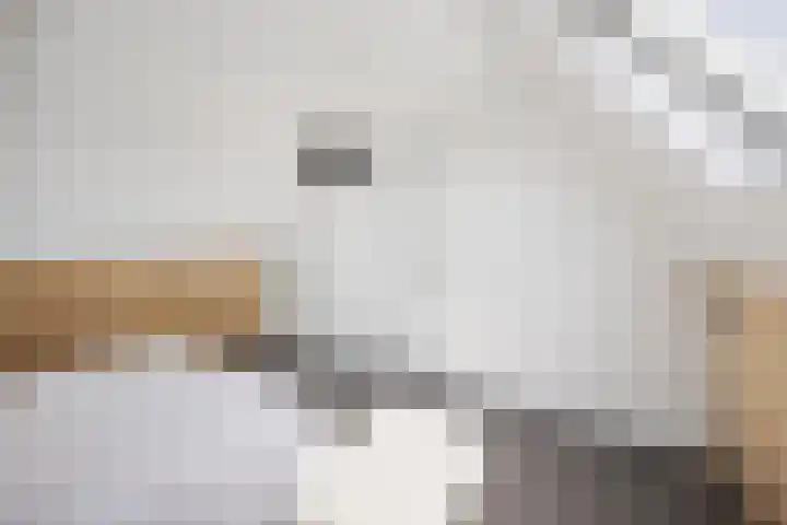 Vijverhof 26 Druten thumbnail 52