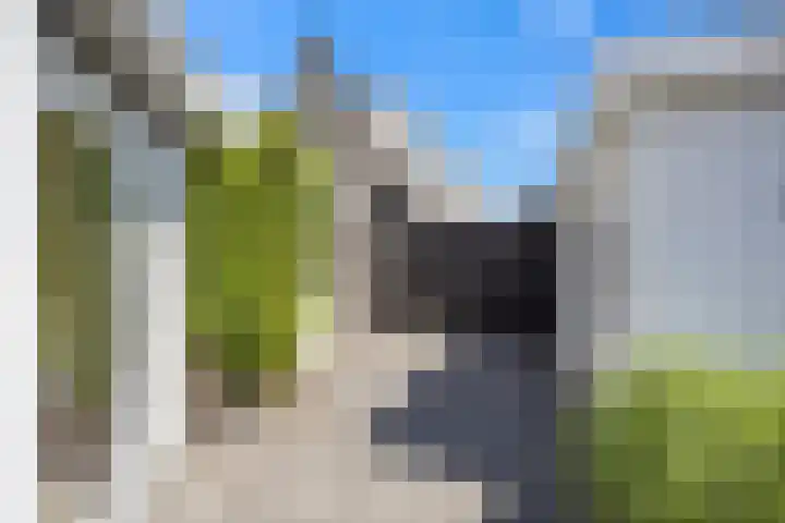 Vijverhof 26 Druten thumbnail 57