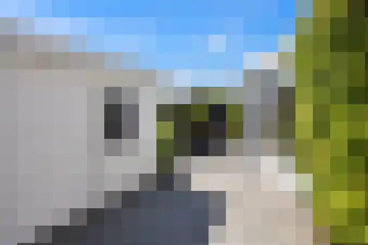 Vijverhof 26 Druten thumbnail 58
