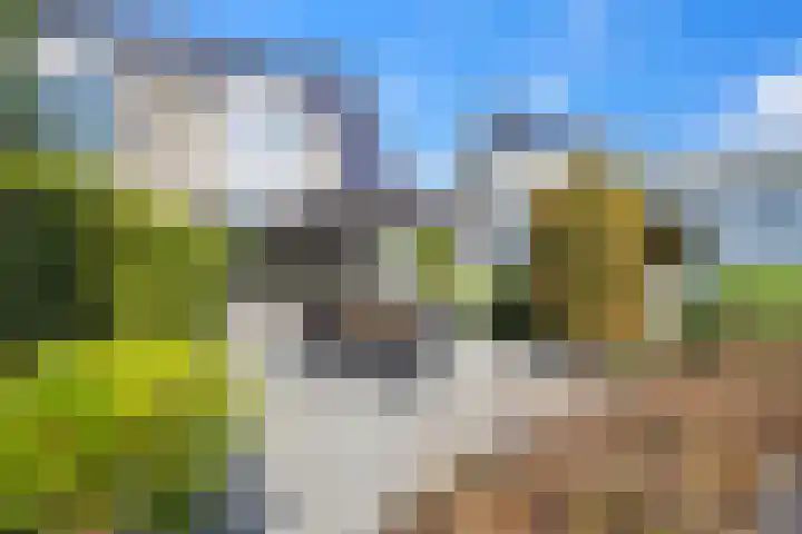 Vijverhof 26 Druten thumbnail 59