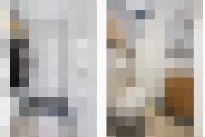 Vijverhof 26 Druten thumbnail 6