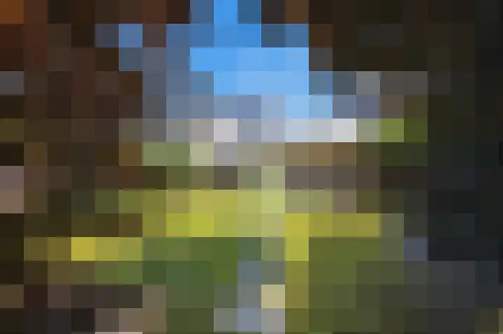 Vijverhof 26 Druten thumbnail 63