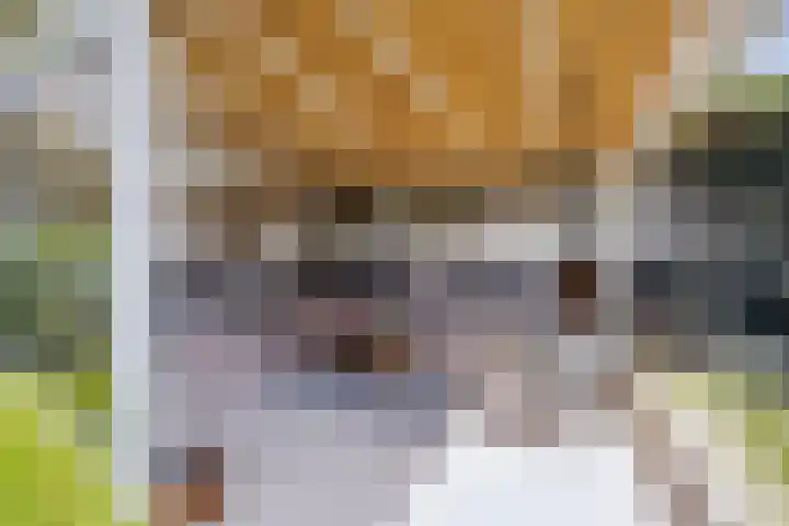 Vijverhof 26 Druten thumbnail 64
