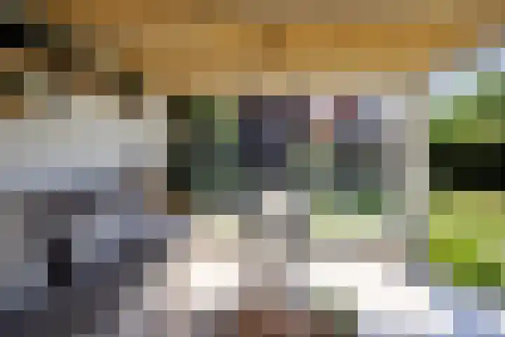 Vijverhof 26 Druten thumbnail 66