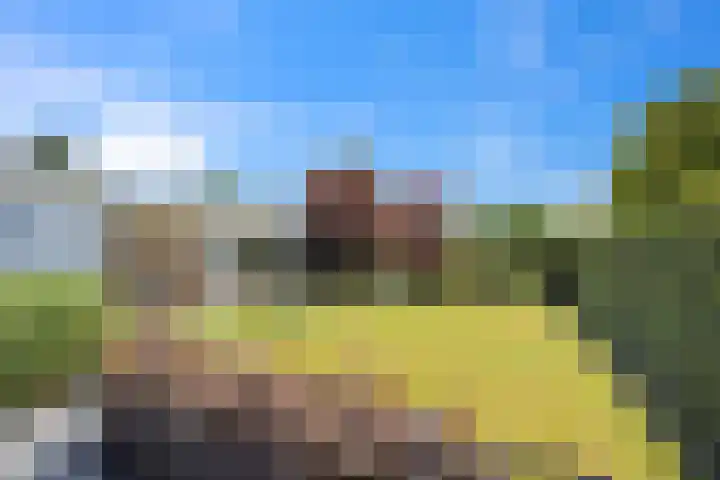 Vijverhof 26 Druten thumbnail 67
