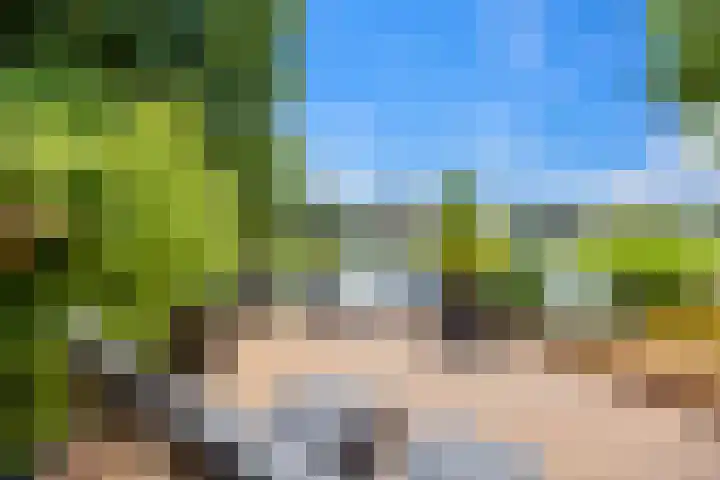 Vijverhof 26 Druten thumbnail 70