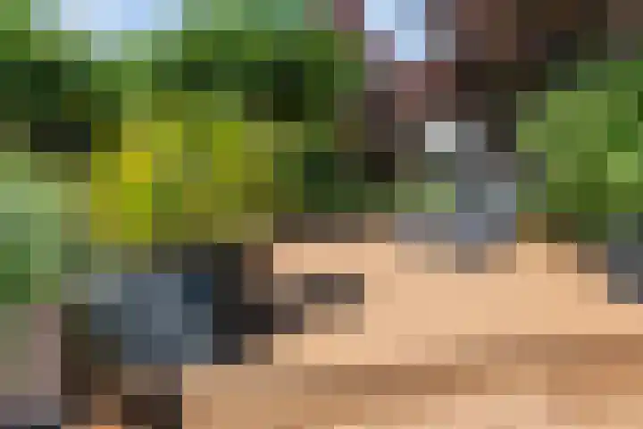 Vijverhof 26 Druten thumbnail 72
