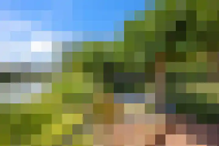 Vijverhof 26 Druten thumbnail 73