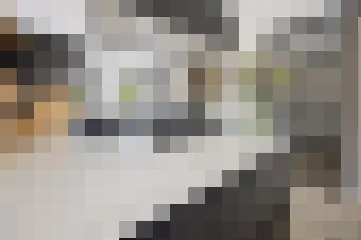 Vijverhof 26 Druten thumbnail 8