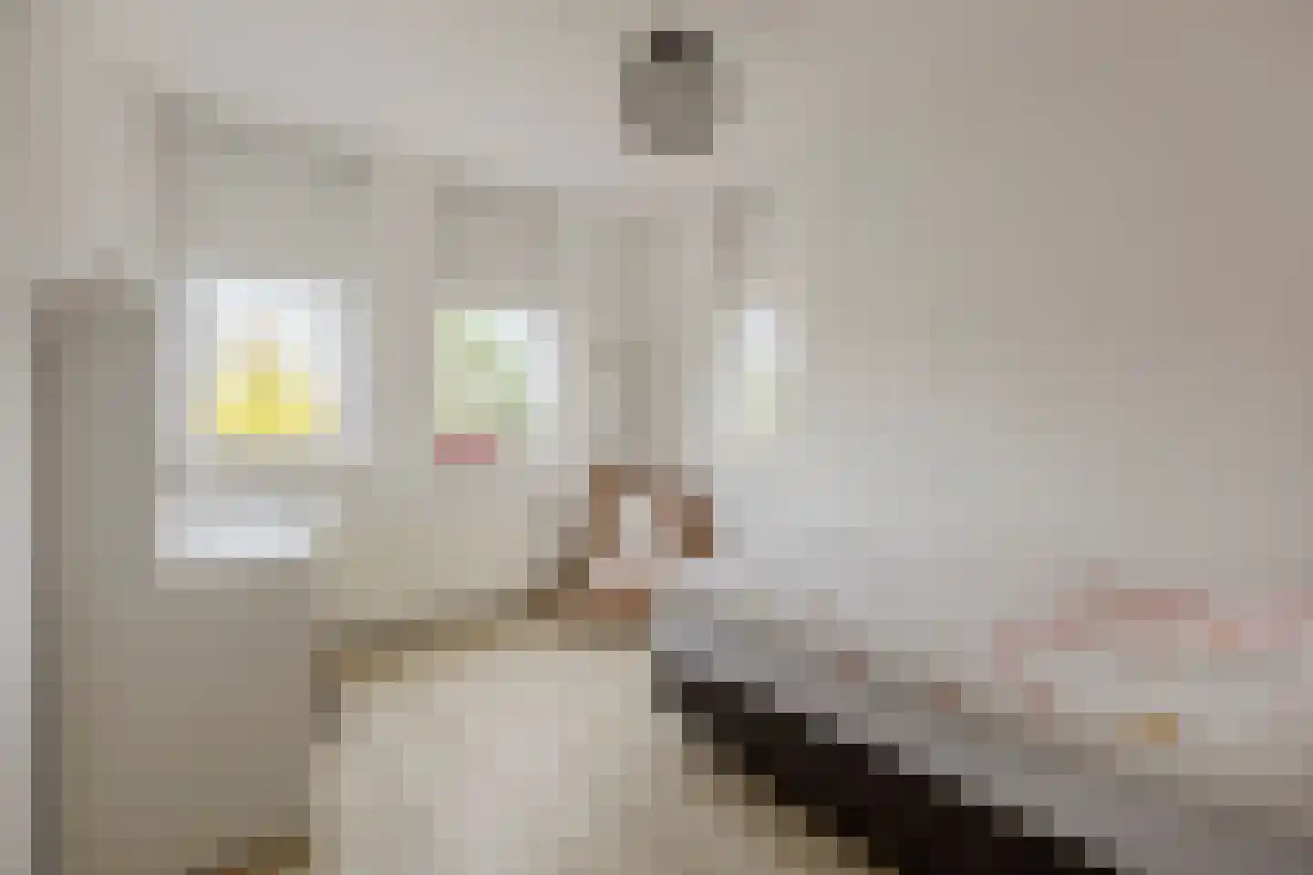 Vijverhof 29 Terneuzen thumbnail 31