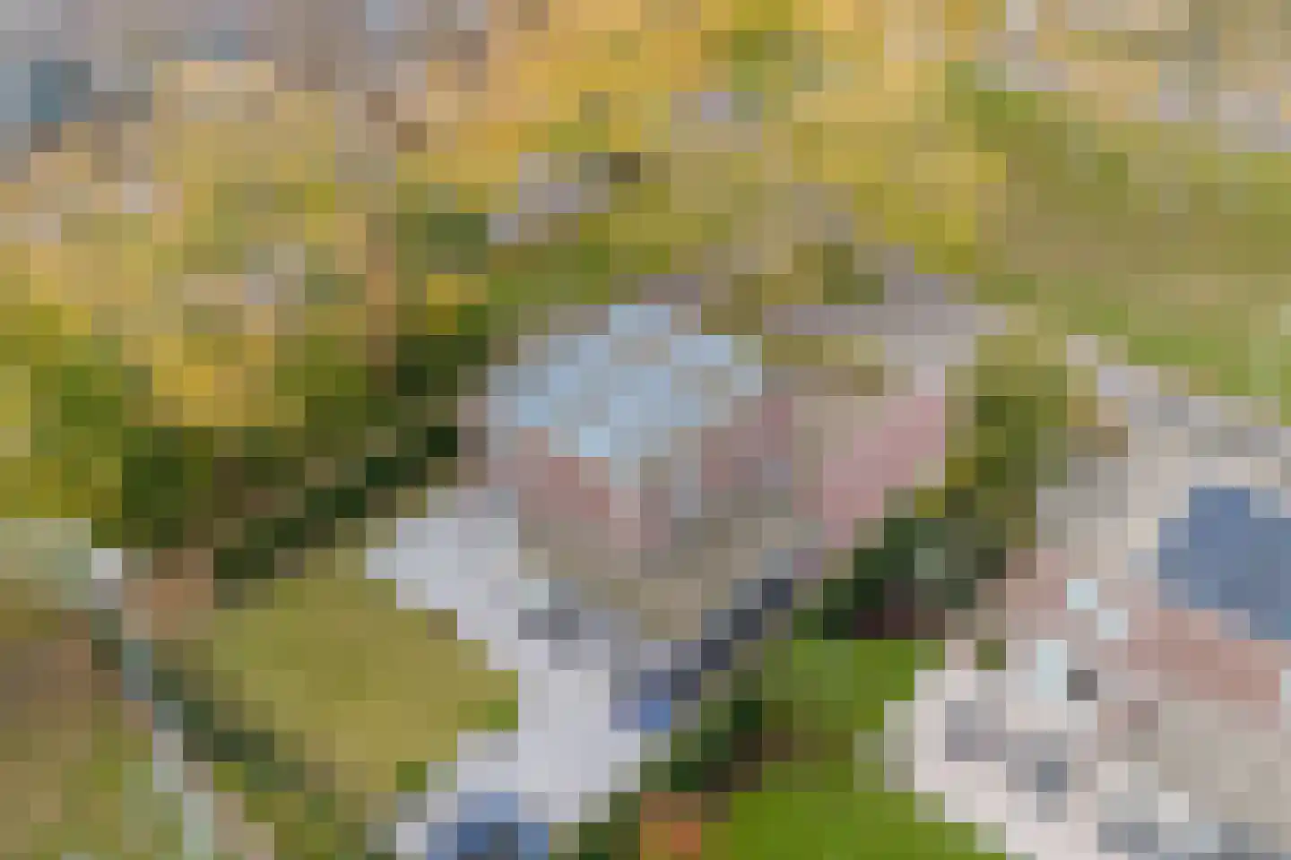 Vijverhof 29 Terneuzen thumbnail 39