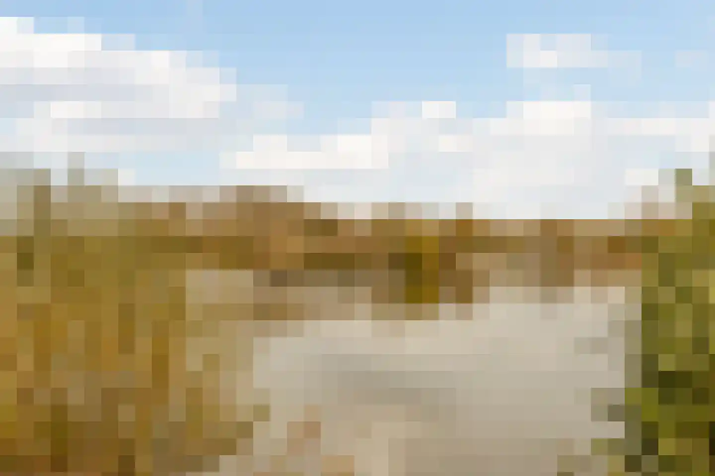 Vijverhof 29 Terneuzen thumbnail 40