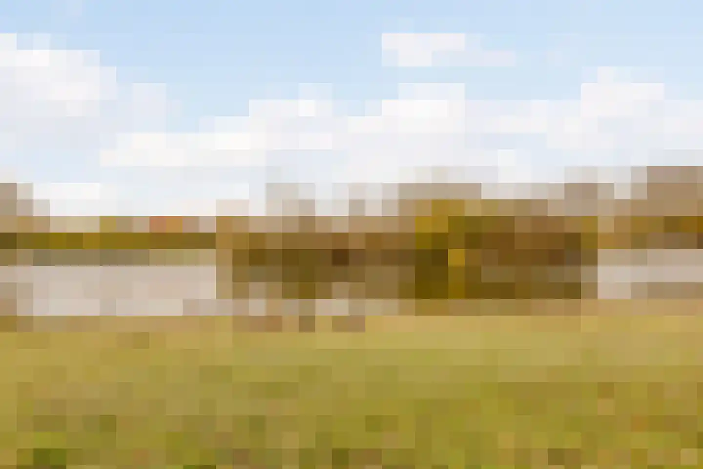 Vijverhof 29 Terneuzen thumbnail 42