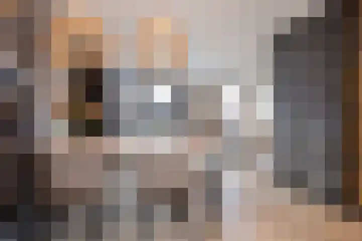 Vijverhof 33 Hendrik-Ido-Ambacht thumbnail 11