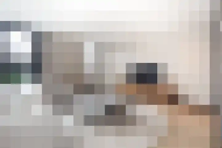 Vijverhof 33 Hendrik-Ido-Ambacht thumbnail 13