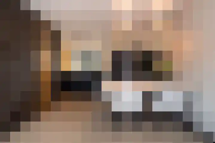 Vijverhof 33 Hendrik-Ido-Ambacht thumbnail 17