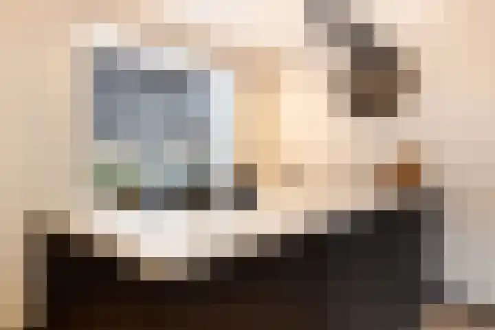 Vijverhof 33 Hendrik-Ido-Ambacht thumbnail 20