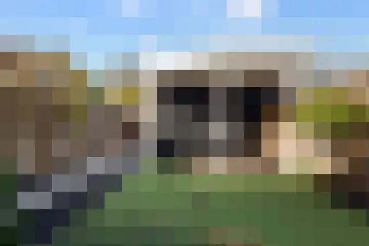 Vijverhof 33 Hendrik-Ido-Ambacht thumbnail 24