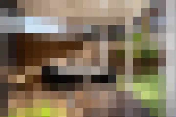 Vijverhof 33 Hendrik-Ido-Ambacht thumbnail 28