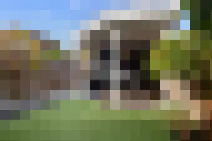 Vijverhof 33 Hendrik-Ido-Ambacht thumbnail 30
