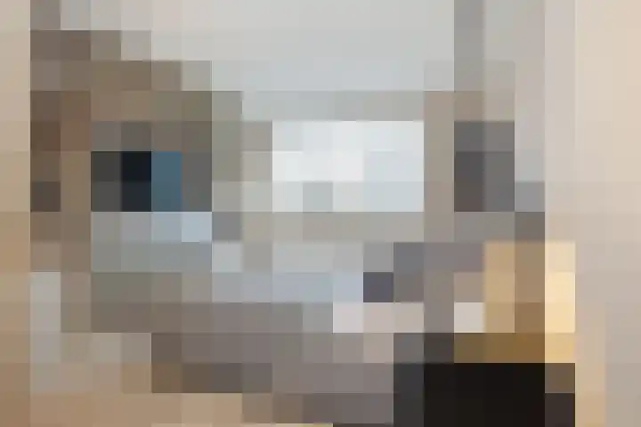 Vijverhof 33 Hendrik-Ido-Ambacht thumbnail 33