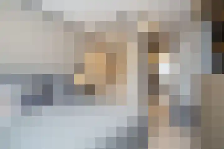 Vijverhof 33 Hendrik-Ido-Ambacht thumbnail 34