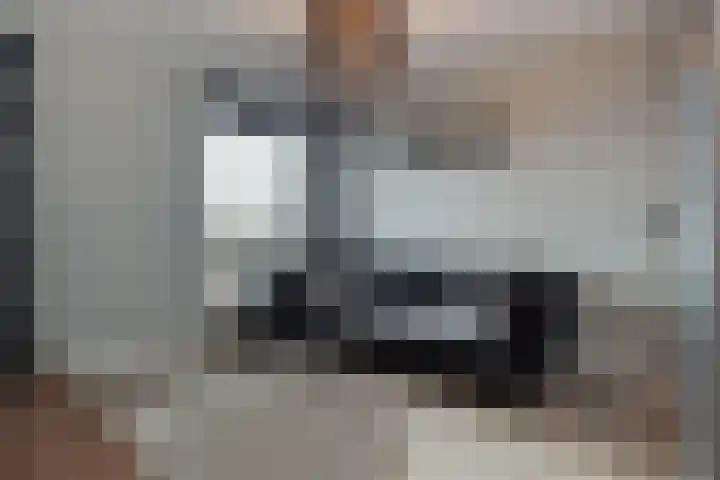 Vijverhof 33 Hendrik-Ido-Ambacht thumbnail 36