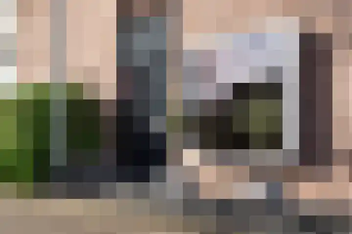 Vijverhof 33 Hendrik-Ido-Ambacht thumbnail 5