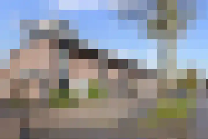 Vijverhof 33 Hendrik-Ido-Ambacht thumbnail 6