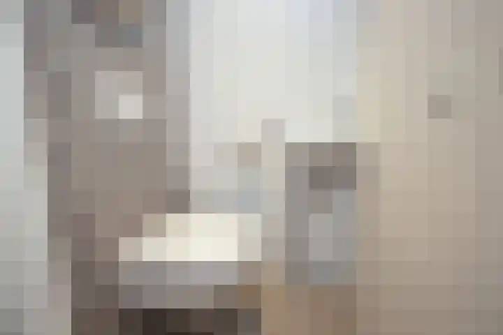 Vijverhof 33 Hendrik-Ido-Ambacht thumbnail 9