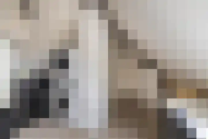 Vijverhof 37 Almelo thumbnail 22